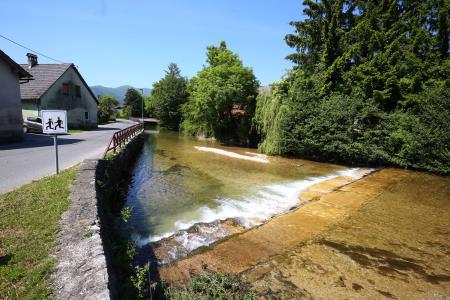STRUGA CERKNIŠČICA 02 FOTO LJUBO VUKELIČ